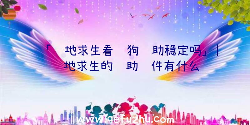 「绝地求生看门狗辅助稳定吗」|绝地求生的辅助软件有什么